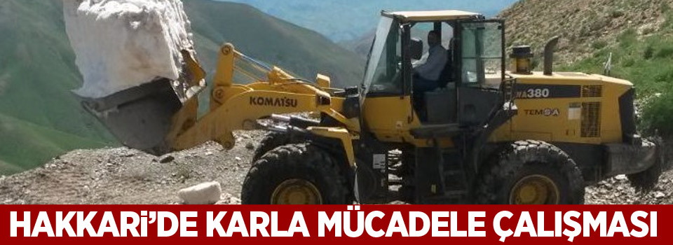 Haziran ayında karla mücadele çalışması