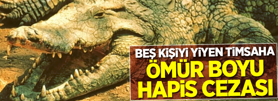 Beş kişiyi yiyen timsaha ömür boyu hapis cezası