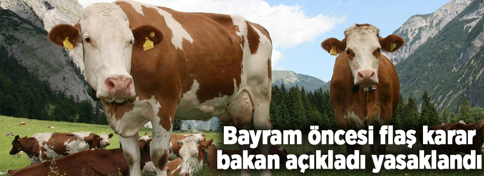 Bayram öncesi flaş karar bakan açıkladı yasaklandı