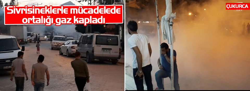 Sivrisineklerle mücadelede ortalığı gaz kapladı