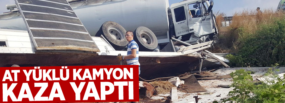 Antalya'dan Van'a gelen at yüklü kamyon kaza yaptı: 2 yaralı