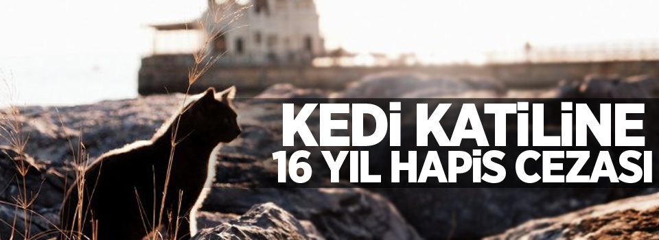 'Seri kedi katiline' 16 yıl hapis cezası