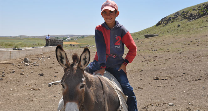 Arkadaşları tatil yaparken o koyun otlatıyor