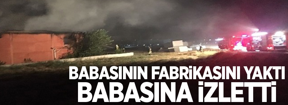 Babasının fabrikasını yaktı, babasına izletti