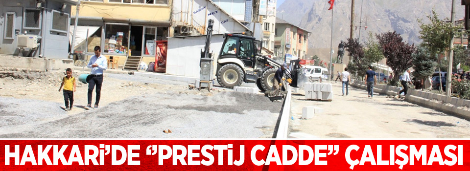 Hakkari'de 'Prestij Caddesi' çalışmaları