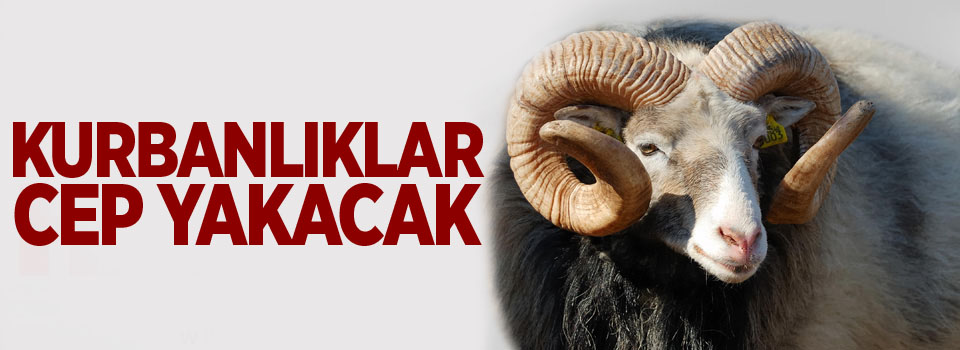 Kurbanlıklar cep yakacak