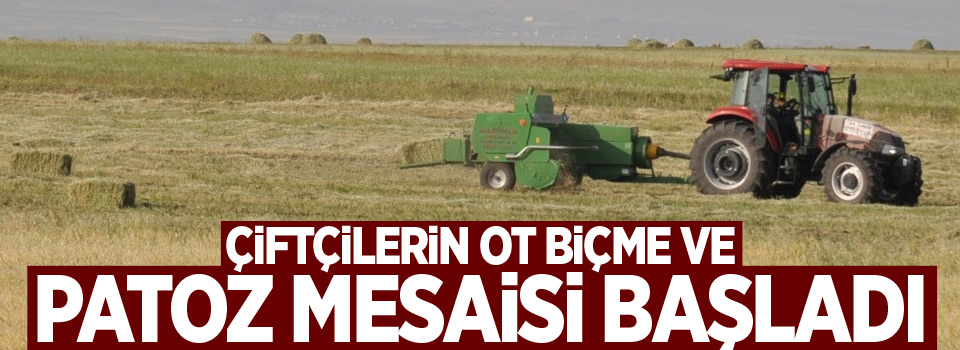 Çiftçilerin ot biçme ve patoz mesaisi başladı