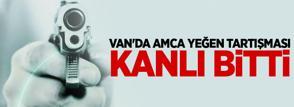 Van'da amca yeğen tartışması kanlı bitti