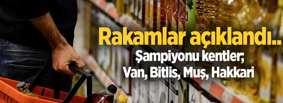 Rakamlar açıklandı... Şampiyonu kentler; Van, Bitlis, Muş, Hakkari