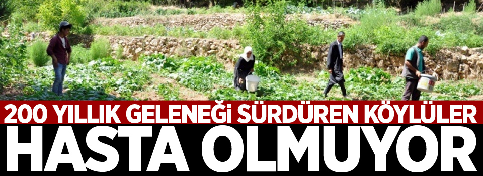 200 yıllık geleneği sürdüren köylüler hasta olmuyor