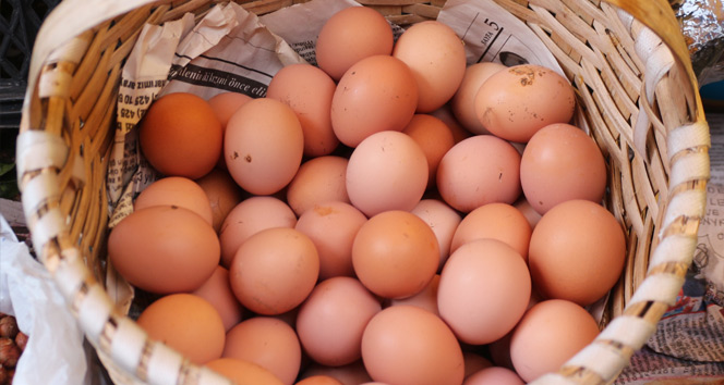 Belçika’dan Hollanda'ya yumurta suçlaması