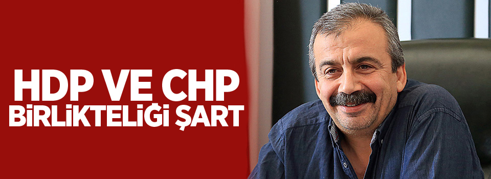 Sırrı Süreyya Önder: HDP ve CHP birlikteliği şart