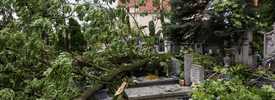 Polonya'da fırtına: 4 ölü, 28 yaralı