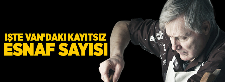 İşte Van’daki kayıtsız esnaf sayısı