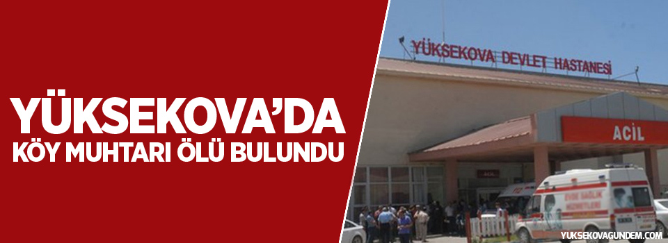 Yüksekova'da köy muhtarı ölü bulundu