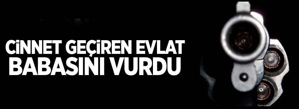 Cinnet geçiren evlat babasını öldürdü