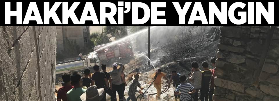 Hakkari'de boş arazide yangın