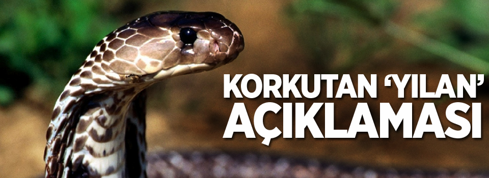 Dünya Sağlık Örgütü'nden korkutan 'yılan' açıklaması