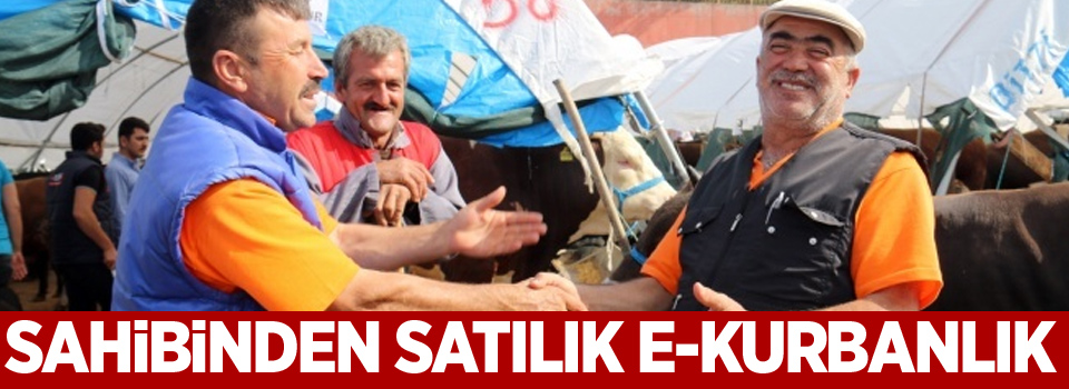 Sahibinden satılık e-kurbanlık