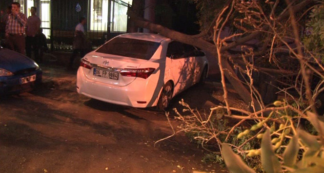 Seyir halindeki otomobilin üzerine ağaç devrildi