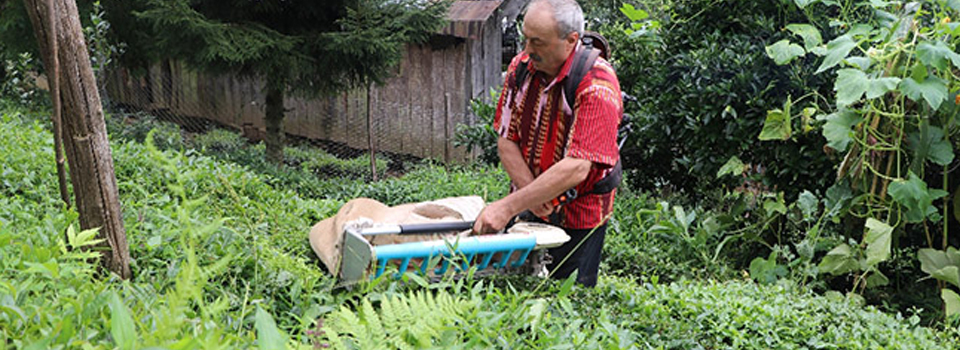 Geliştirdiği makineyle günde 1 ton çay topluyor