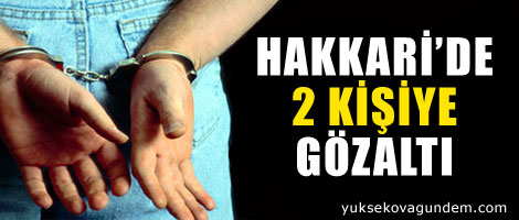 Hakkari'de 2 kişiye gözaltı