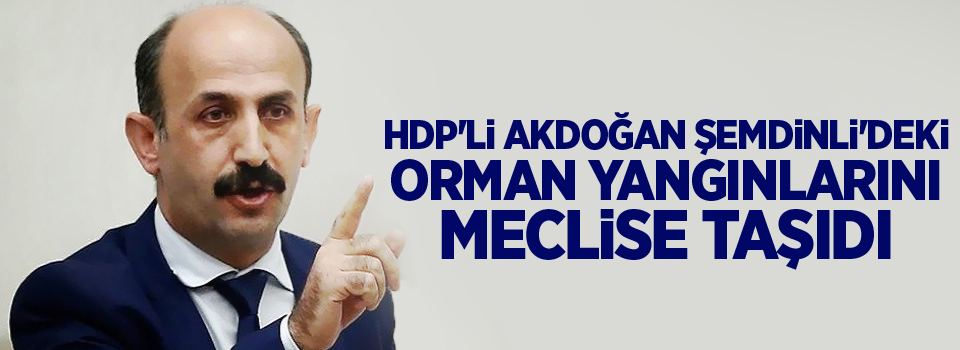 HDP'li Akdoğan Şemdinli'deki orman yangınlarını meclise taşıdı