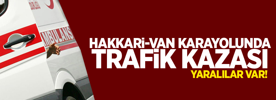 Hakkari-Van karayolunda trafik kazası