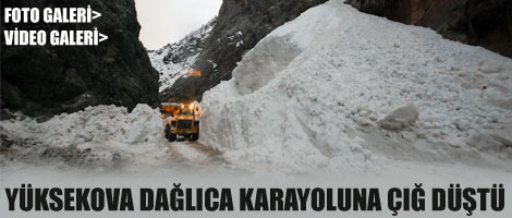 Yüksekova-Dağlıca Karayoluna Çığ Düştü