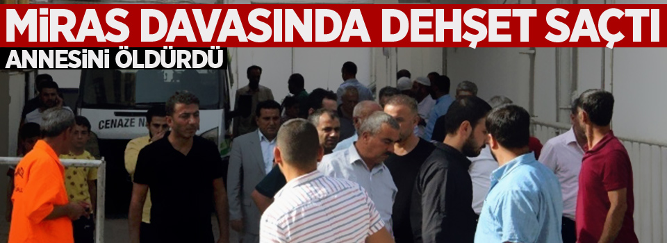 Miras davasında dehşet saçtı: Annesini öldürdü, kardeşini ağır yaraladı