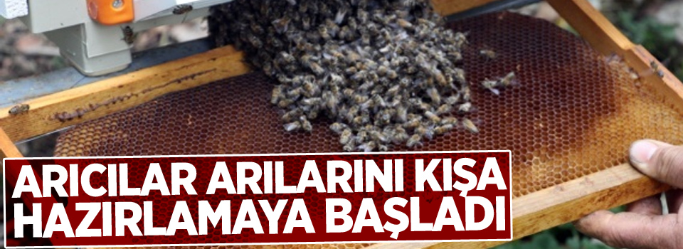 Arıcılar arılarını kışa hazırlamaya başladı