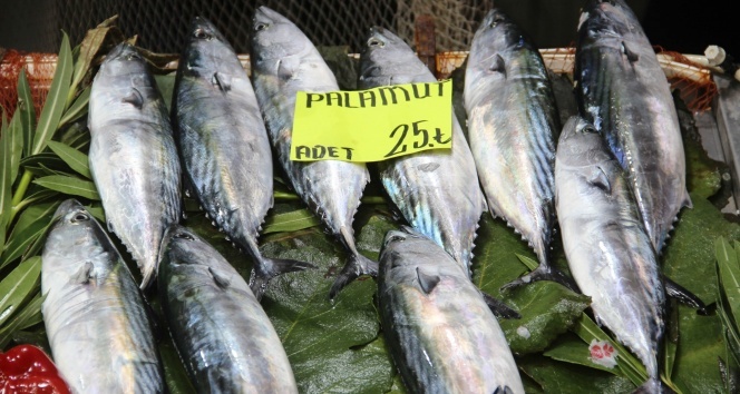 balık fiyatları el yakıyor