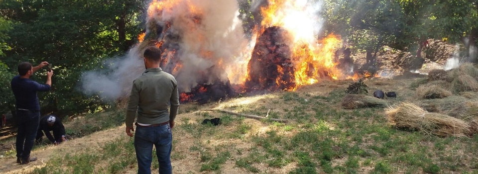 Şemdinli'de bin bağ ot yandı