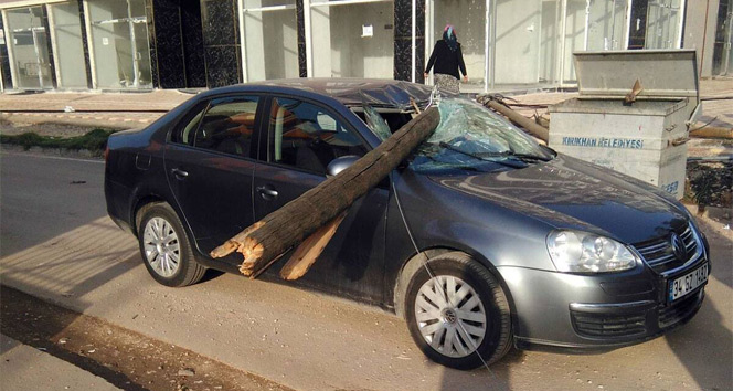 Çürüyen telefon direği otomobilin üzerine düştü