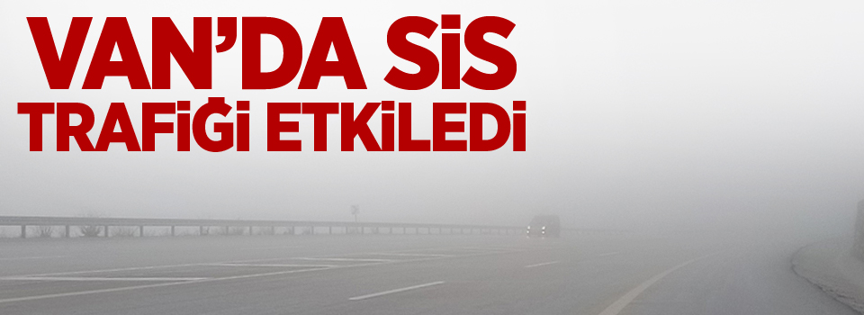 Van'da sis trafiği etkiledi