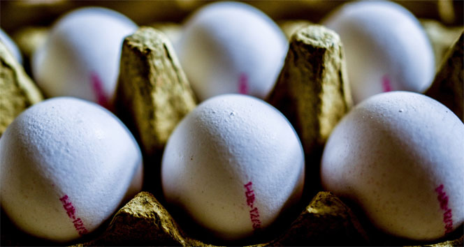 Tavuk yumurtası üretimi Eylül’de aylık bazda azaldı