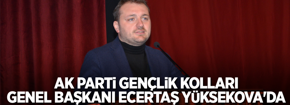 AK Parti Gençlik Kolları Genel Başkanı Ecertaş Yüksekova’da