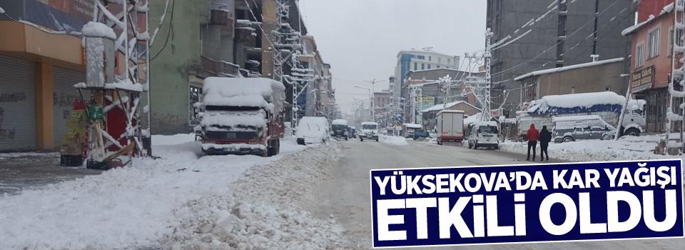 Yüksekova'da kar yağışı etkili oldu