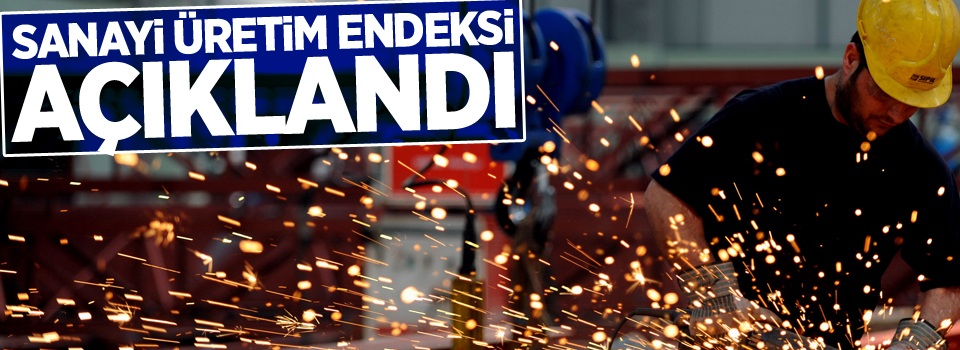 Sanayi üretim endeksi açıklandı