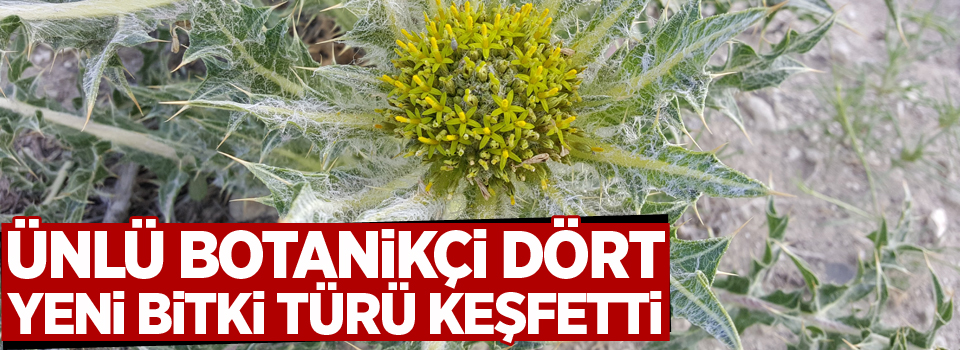 Ünlü botanikçi dört yeni bitki türü keşfetti