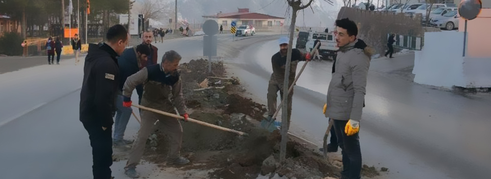 Hakkari Belediyesinden hummalı çalışma