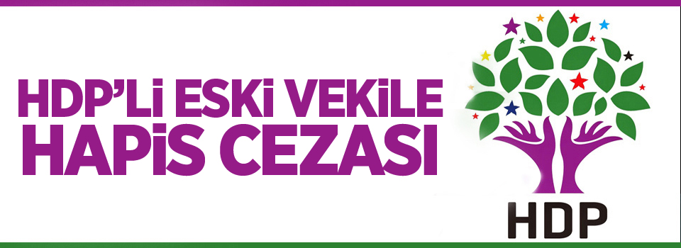 HDP'li eski vekile 8 yıl 9 ay hapis cezası