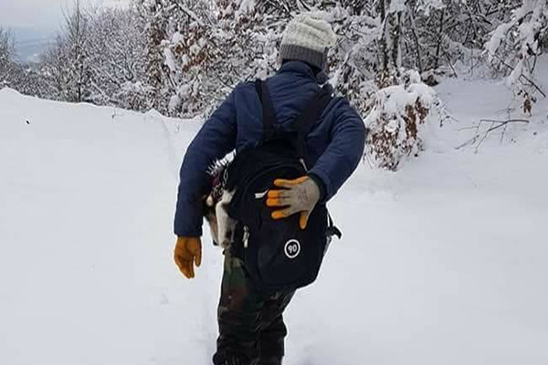 Hastalanan köpeğini çantasında 7 kilometre taşıdı