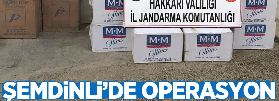 Şemdinli'de operasyon