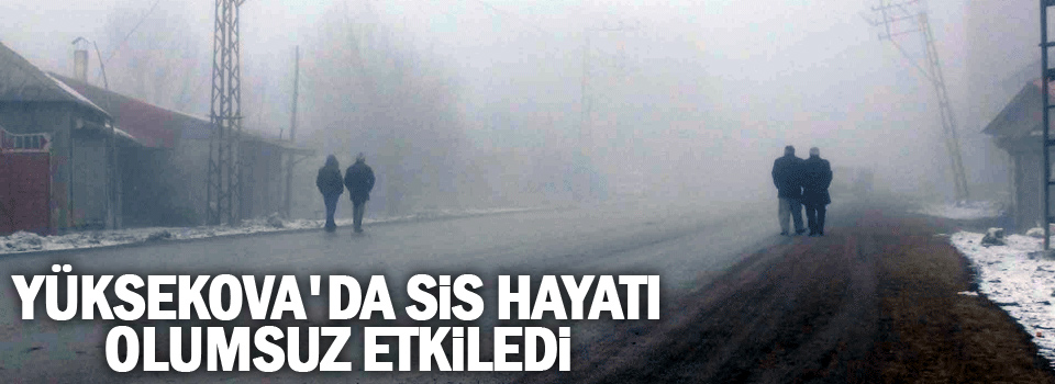 Yüksekova'da sis hayatı olumsuz etkiledi