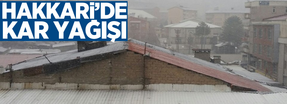 Hakkari’de kar yağışı ve sis