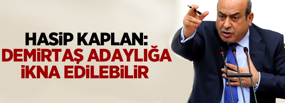 Hasip Kaplan: Demirtaş adaylığa ikna edilebilir