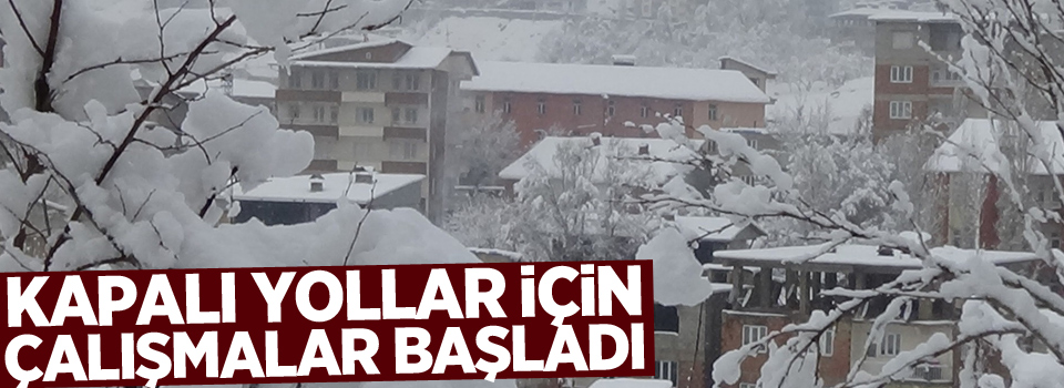 Kapalı 18 köy, 54 mezra yolunda çalışma başlatıldı