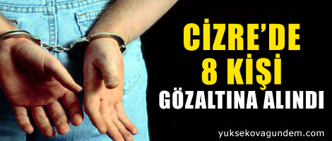 Cizre'de 8 kişi gözaltına alındı