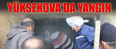Yüksekova'da Yangın